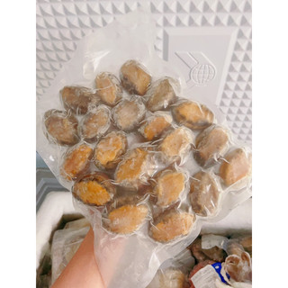 Bào Ngư Hàn (18-20con/kg)