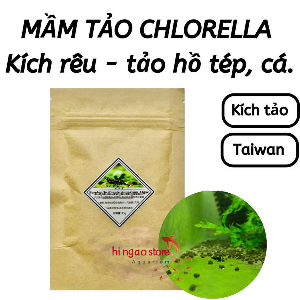 Mầm Tảo Đài Loan Kích Rêu Tảo Xanh, Kích Tảo Xanh hồ tép, hồ cá - Trang trí hồ tép, cá cảnh | Hingaostore.