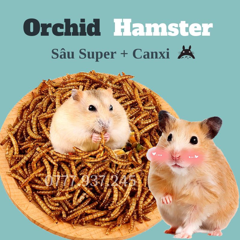 Sâu Sấy Hamster Bổ Sung Caxi