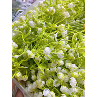 Cỏ điểm bi cụp 100gr