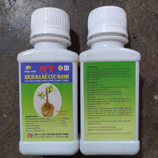 Kích rễ cực mạnh NT, giâm cành, chiết cành.