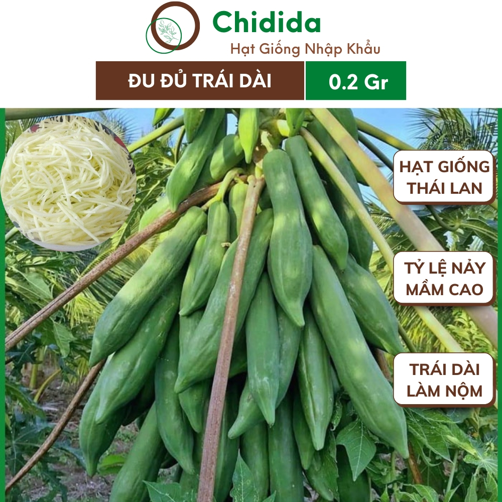 Hạt giống đu đủ Chidida giống trái dài siêu lùn Thái Lan đu đủ chuyên để làm nộm gói 0.2g