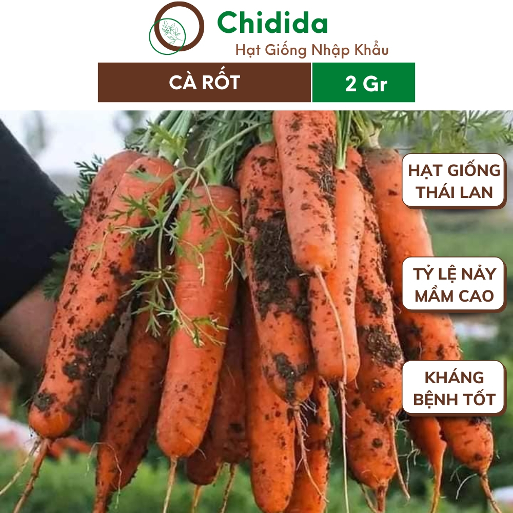 Hạt giống cà rốt Chidida giống cà rốt Thái Lan dễ trồng kháng bệnh tốt năng suất cao gói 2gr