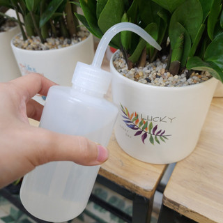 BÌNH TƯỚI MINI 250ml, bình tưới sen đá, xương rồng, bình tưới nhựa vòi cong có chia vạch ml