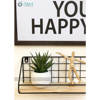 Chậu nha đam giả để bàn
