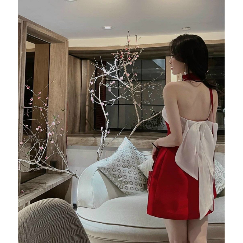 Đầm thiết kế nữ đi tiệc chất TAPTA cúp ngực phối màu đính nơ lưng