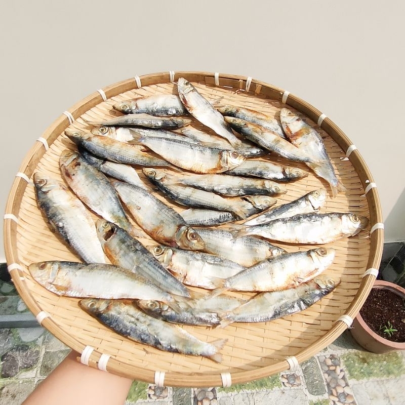 Khô cá trích đặc sản Bình Thuận 500gram