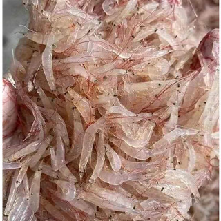 tép moi biển tươi 500gr [hàng cấp đông]