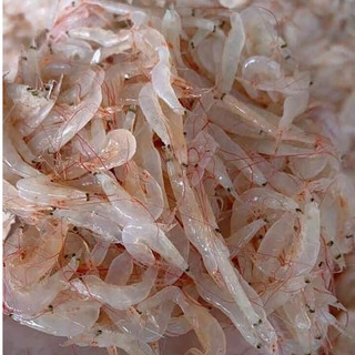 tép moi biển tươi 500gr [hàng cấp đông]