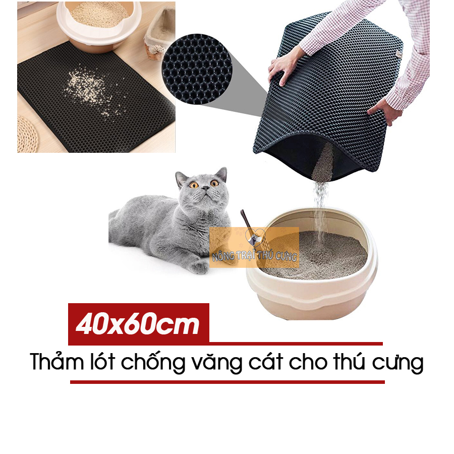 Thảm Hứng Cát Mèo - Thảm Chống Văng Cát Mèo Size Lớn 60x40cm