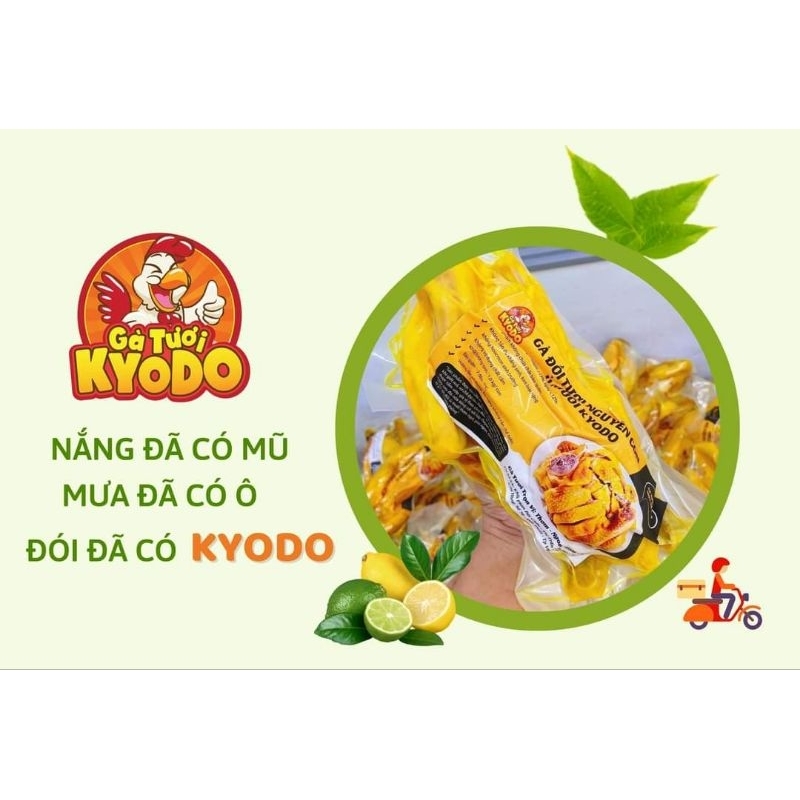 Gà đồi tươi ủ muối nguyên con KYODO