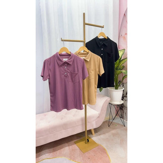 ( 60-95kg ) ÁO THUN GÂN CỔ TRỤ BIGSIZE -  DÁNG BASIC