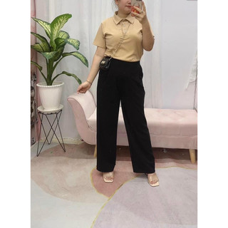 ( 60-95kg ) ÁO THUN GÂN CỔ TRỤ BIGSIZE -  DÁNG BASIC