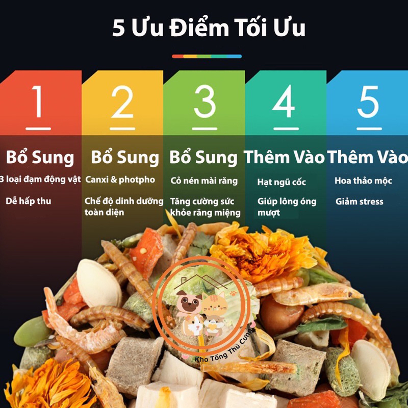 H1 Bản Mới 🐹