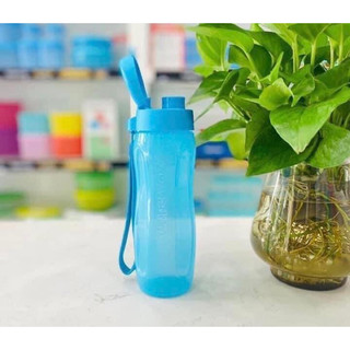 Bình nước eco bottle gen ii 500ml