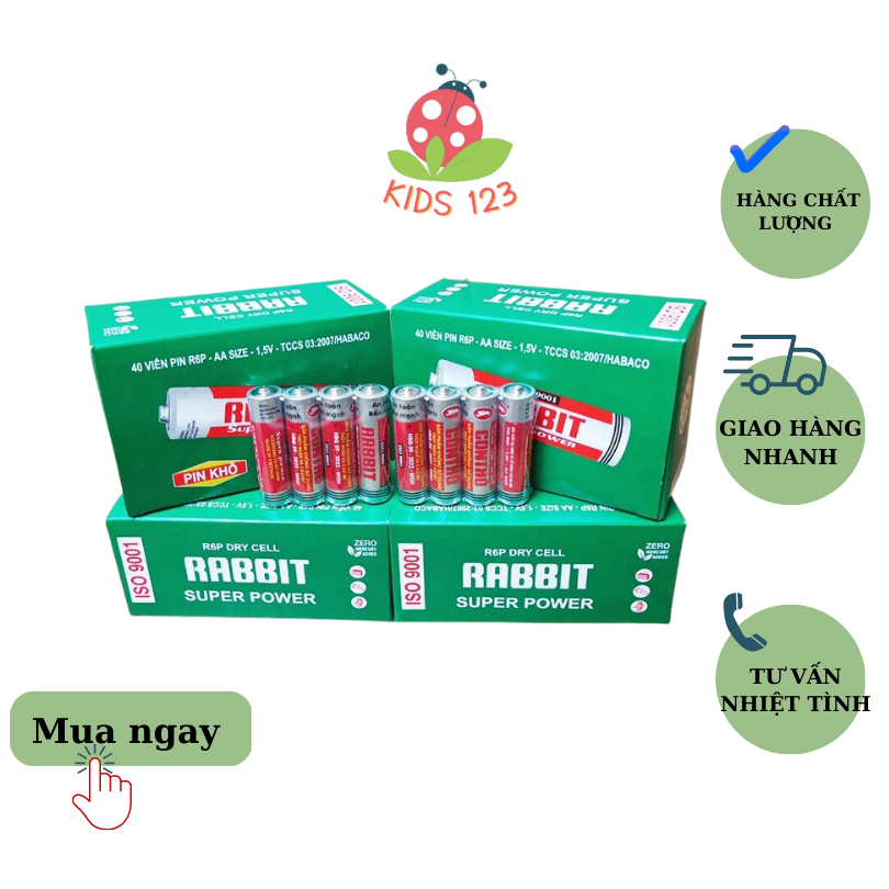 Pin con thỏ AA, Pin lắp cho đồ chơi sử dụng pin AA  KIDS 123 mã 051