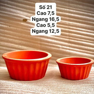 Chậu đất nung trồng sen đá. sương rồng, cây cảnh để bàn