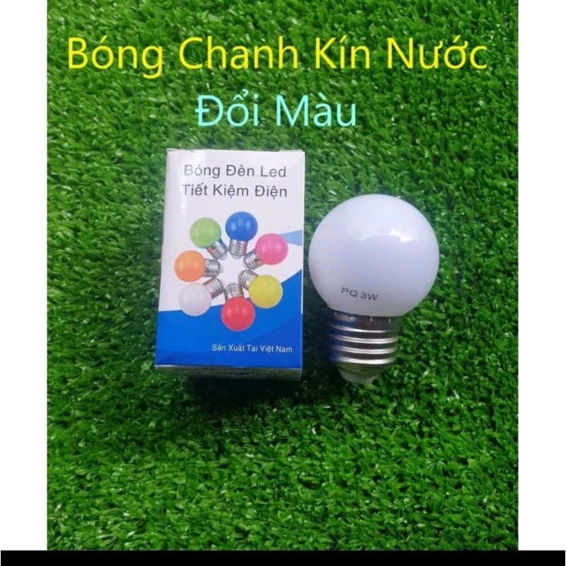 BÓNG CHANH ĐỔI MÀU 1W SIÊU BỀN