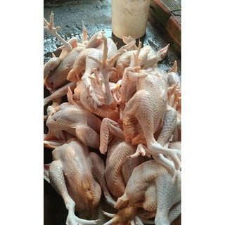 (CHỈ GIAO HỎA TỐC HCM) Gà thả vườn nguyên con