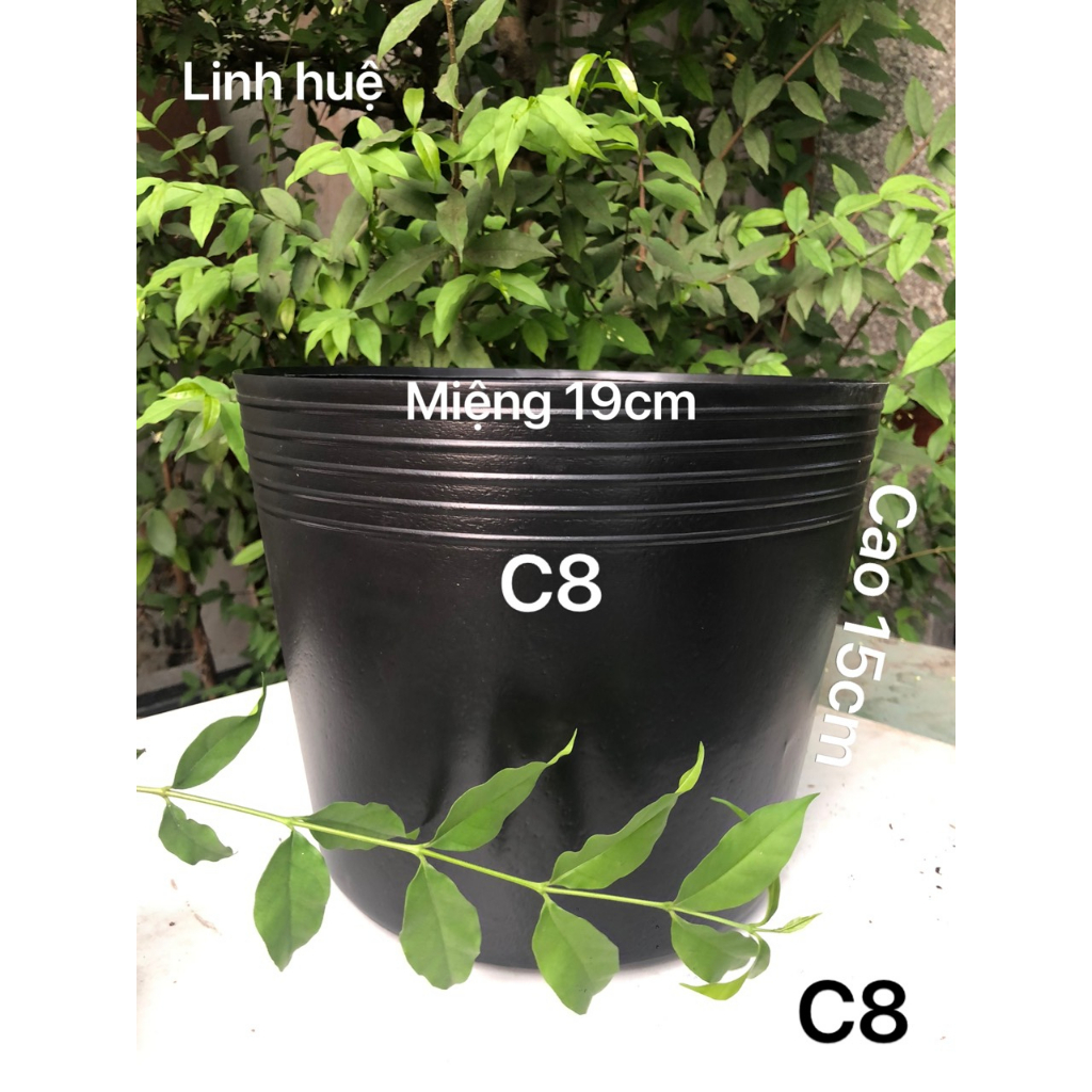 Chậu Nhựa Trồng Cây C8 Đen Loại Dày Dặn