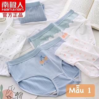Set quần chip