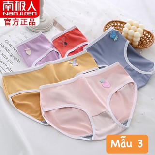 Set quần chip