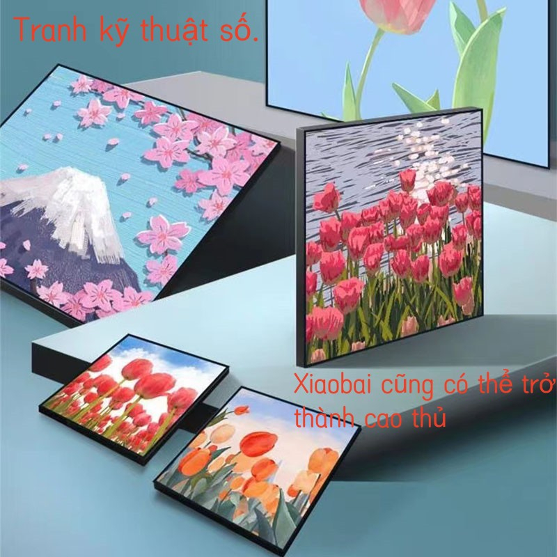 Tranh tô màu theo số Tranh sơn dầu số hoá hình hoa xinh xắn có khung，Mang theo khung, kích thước 20*20cm/30*30cm/30*40cm