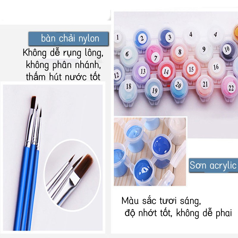 Tranh tô màu theo số Tranh sơn dầu số hoá hình hoa xinh xắn có khung，Mang theo khung, kích thước 20*20cm/30*30cm/30*40cm