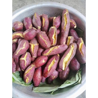 Khoai Lang Nhật 1KG luộc,nướng ăn vặt