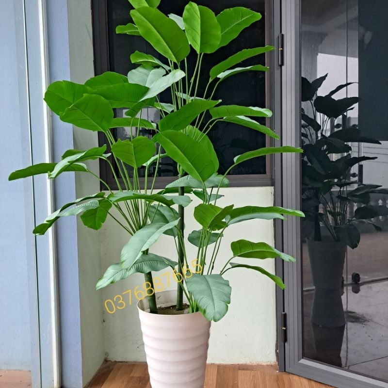 cây chuối giả cao cấp, cây chuối lá mờ, cây giả cao 1M3 decor