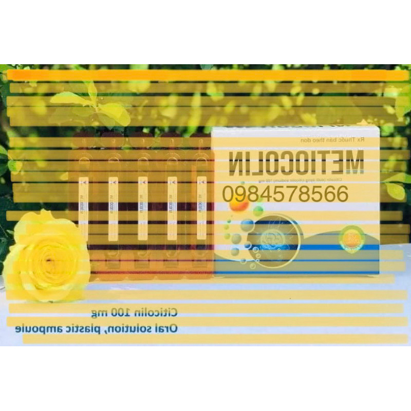 Bổ Não METIOCOLIN - CITICOLIN