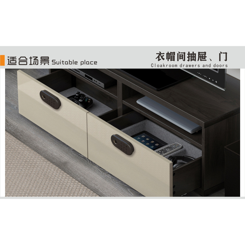 Khóa tủ Vân tay cao cấp | BigBuy360 - bigbuy360.vn