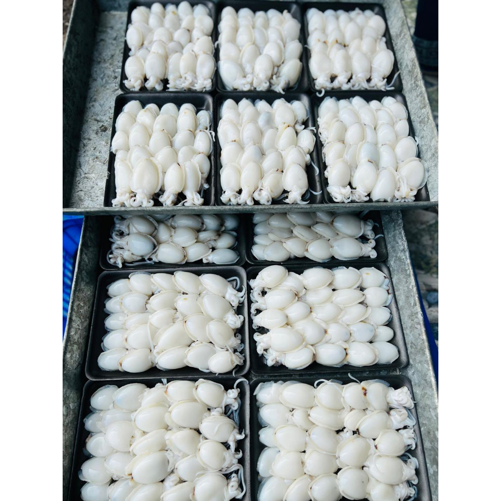 MỰC NÚT BABY LÀM SẠCH