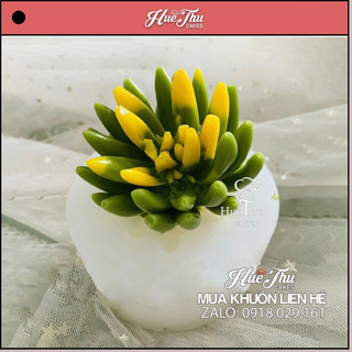 Khuôn silicon Sen Đá Tia Nhọn (số 2, số 5) làm bánh rau câu 3D 4D nhấn xôi, fondant, socola, nến hanmade