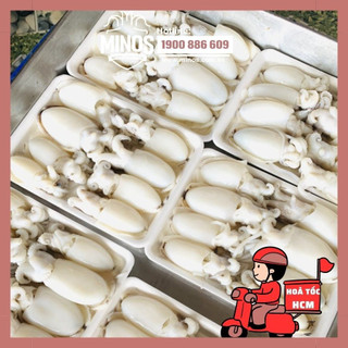 500g mực nang baby làm sạch i minos seafood