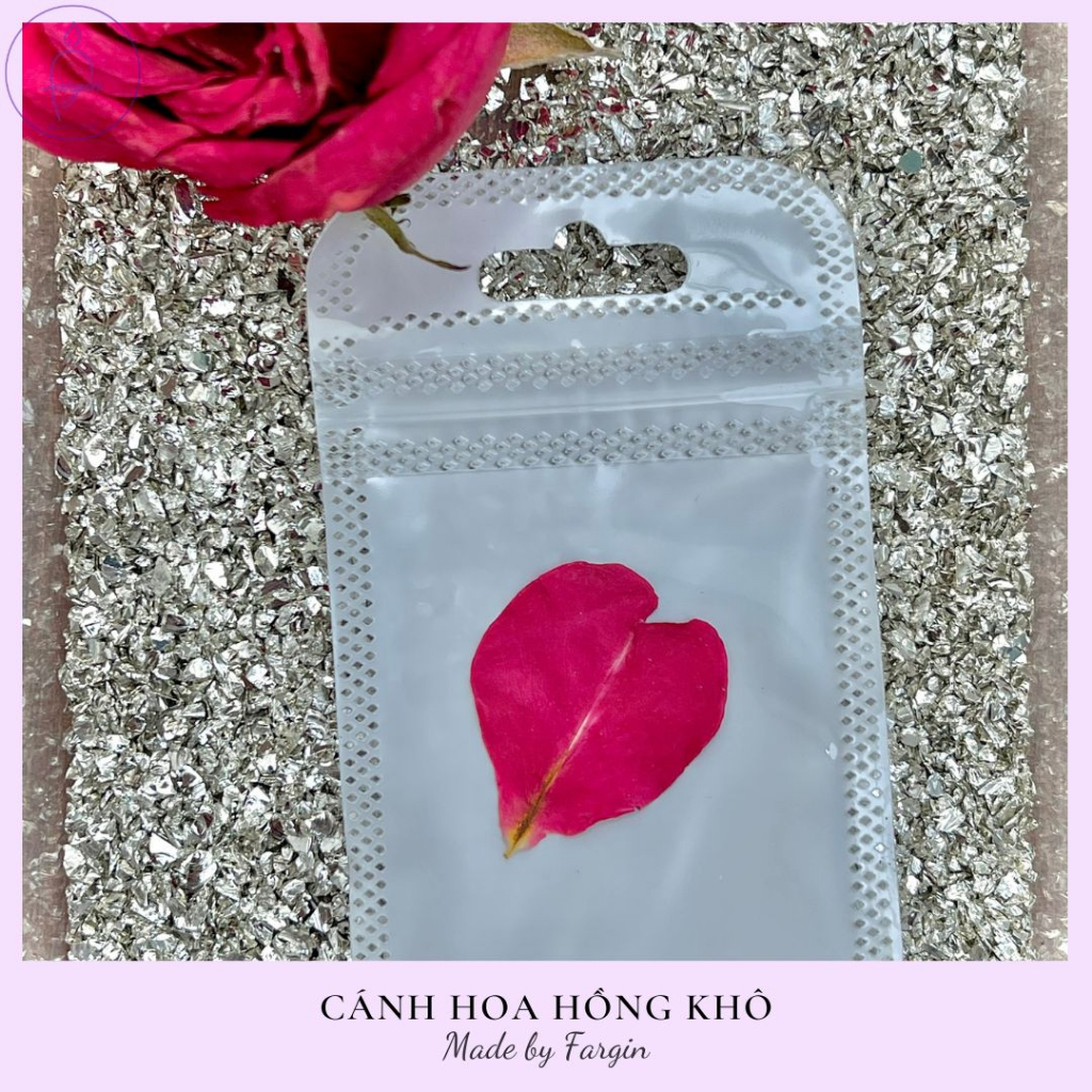 Magic Rose - Cánh Hoa Hồng Ma Thuật - Sạc dưới ánh trăng - Fargin