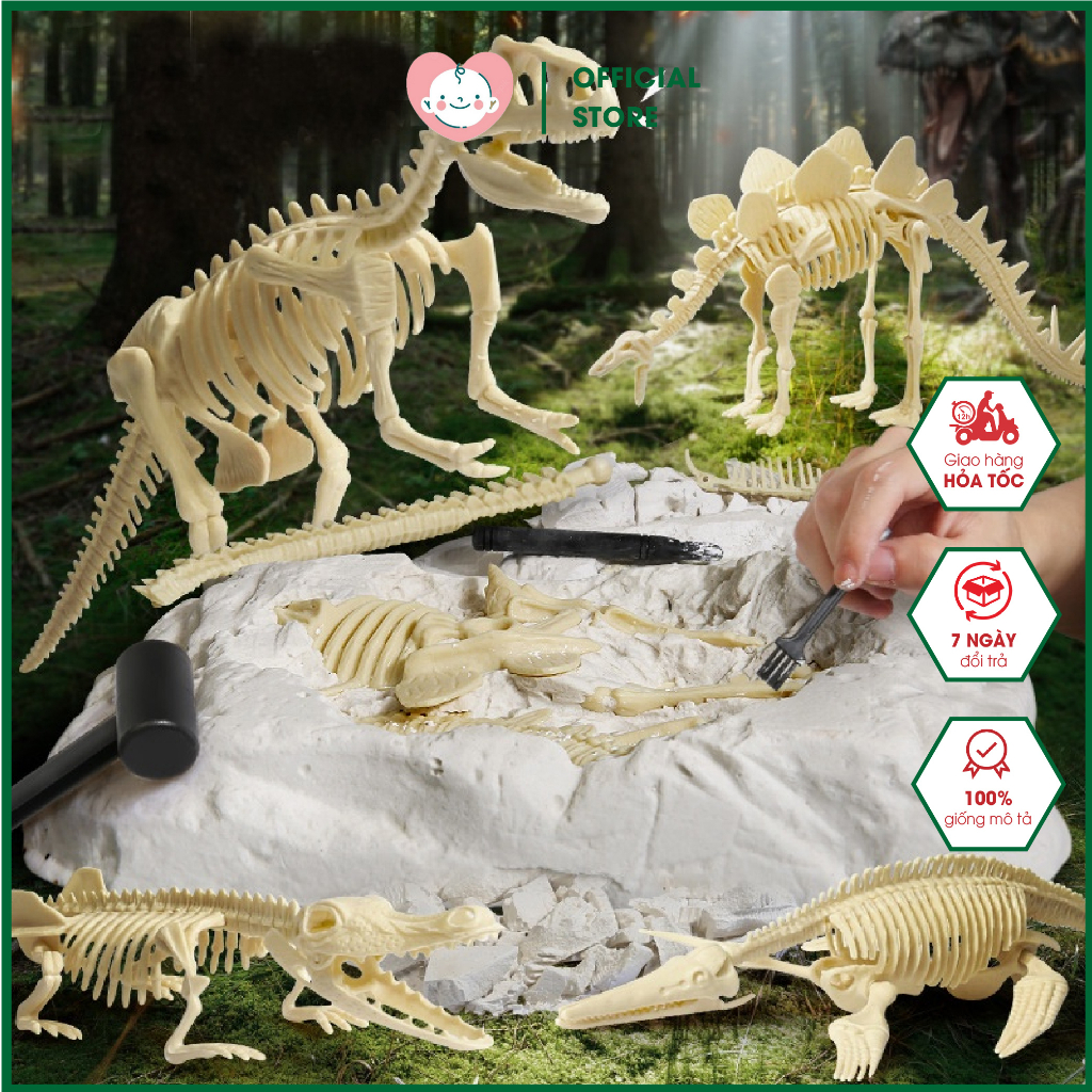 Đồ Chơi Khảo Cổ Đào Hóa Thạch Khủng Long Đồ Chơi Khám Phá Hóa Thạch Khủng Long Bạo Chúa - Siêu Hot