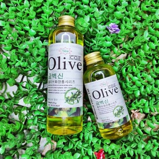 Dầu olive