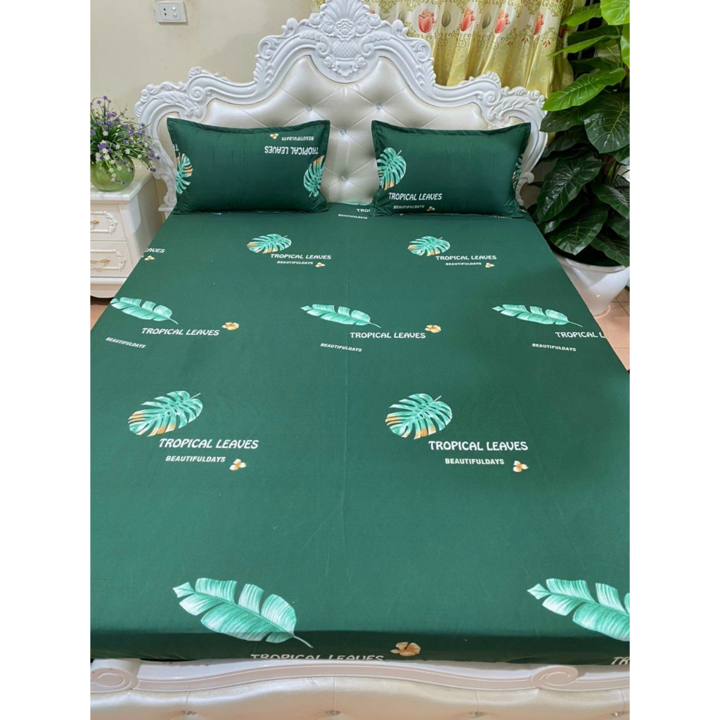Ga Giường - drap bọc Nệm + 2 vỏ nằm Cotton Poly M2/ M6/ M8/ 2M2 Nhiều Họa Tiết (Bo Chun) - Thông Đen, Công Chúa, Thỏ...