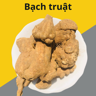 Bạch truật nguyên củ loại 1, bạch truật củ to, còn nguyên đất không chất bảo quản, nấu rất thơm, ngọt