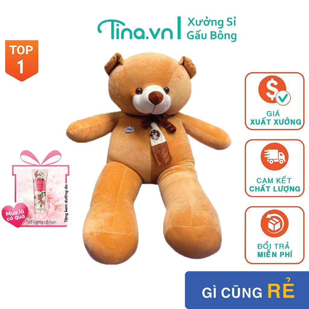 Gấu bông gối ôm Tina Teddy đeo khăn bông cao cấp, vỏ nhung Hàn ...