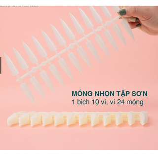 Vỉ móng nhọn, bịch 10 vỉ- 240 móng tập sơn