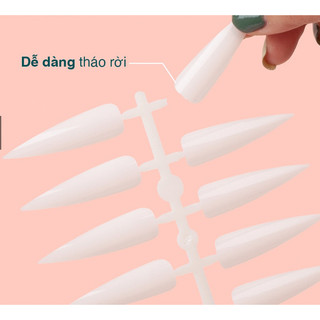 Vỉ móng nhọn, bịch 10 vỉ- 240 móng tập sơn