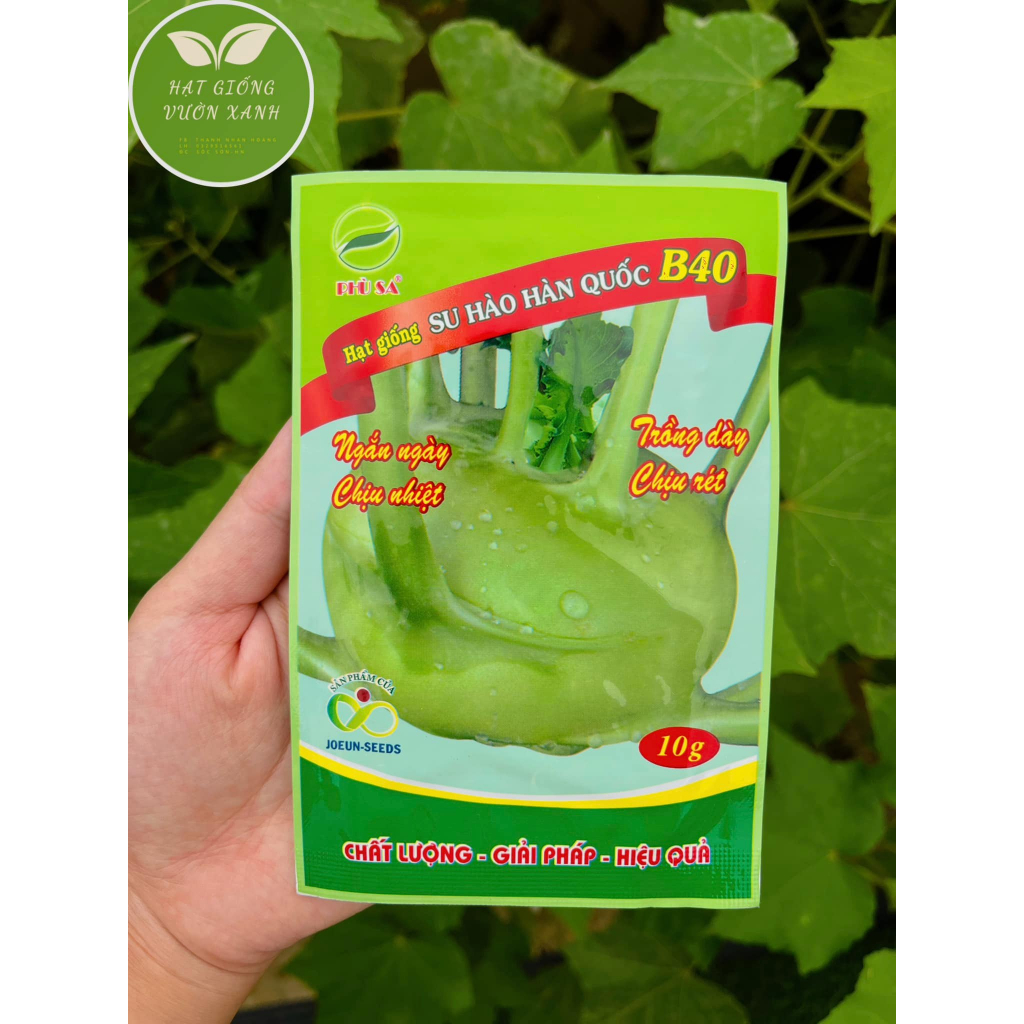 HẠT GIỐNG SU HÀO HÀN QUỐC