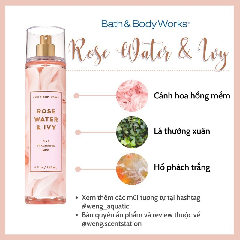 Xịt thơm cơ thể Rose Water Ivy - Bath & Body Works BBW BODY MIST