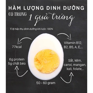 BỘT LÒNG TRẮNG TRỨNG HANVET 100G