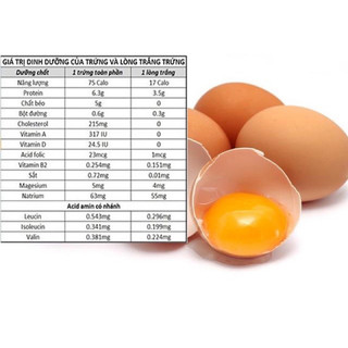 BỘT LÒNG TRẮNG TRỨNG HANVET 100G