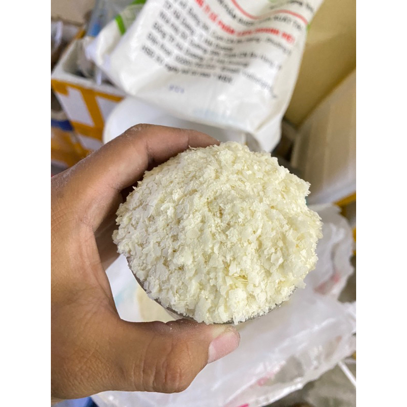 Bông tuyết câu cá