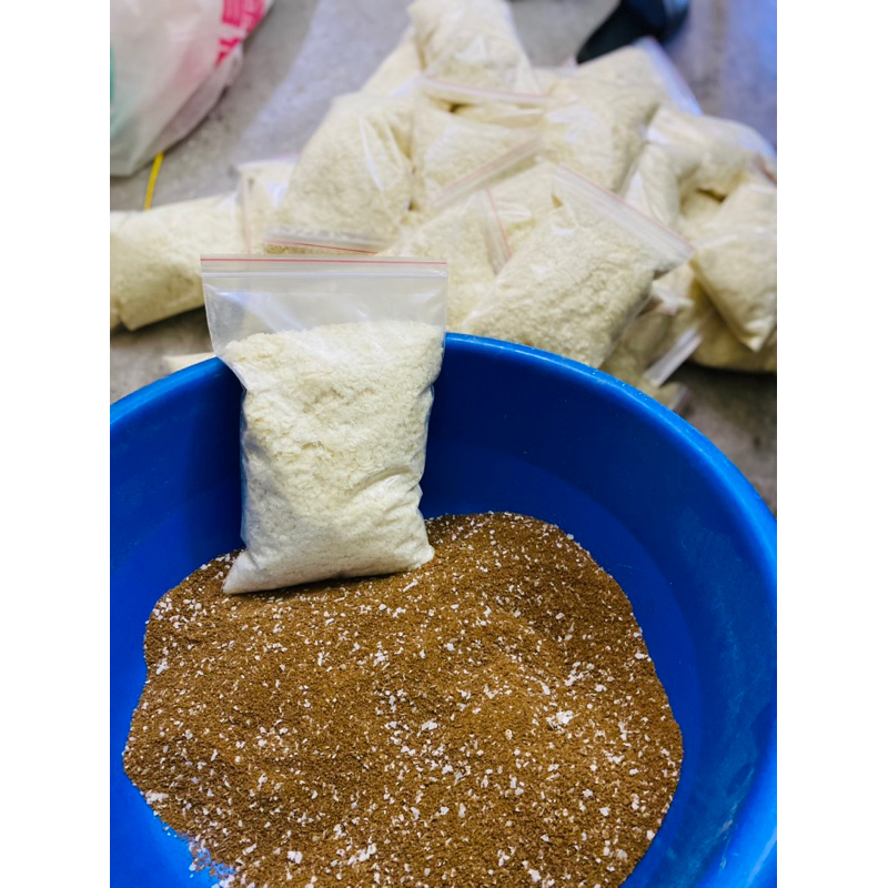 Bông tuyết câu cá