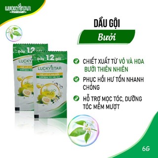 1k Dầu gội đầu tinh dầu bưởi Lucky Star - 1 gói dùng thử